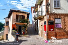 barolo_230728_-8