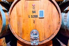 barolo_230728_-80