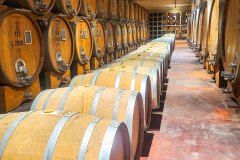 barolo_230728_-83