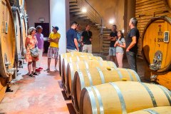 barolo_230728_-84