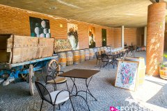 barolo_230728_-92