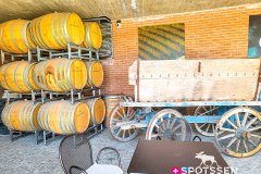 barolo_230728_-94