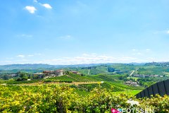 barolo_230728_-97