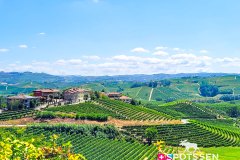 barolo_230728_-98