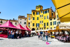 lucca_240512_-25