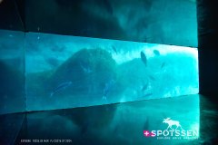 tossa_240716_-65