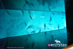 tossa_240716_-74