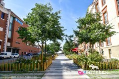 montauban_240724_-70