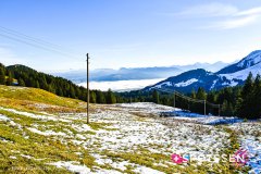 langenthal_241117_-1