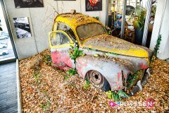 langenthal_241117_-118