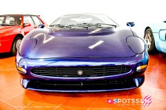 caramulo_250305_-72