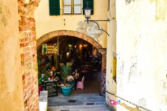 montepulciano_250531_-20