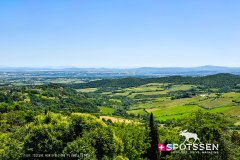 montepulciano_250531_-24