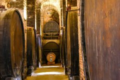 montepulciano_250531_-39