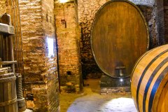 montepulciano_250531_-40