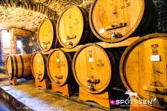 montepulciano_250531_-42