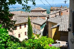 montepulciano_250531_-51