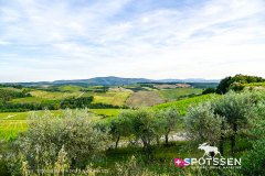 hotel_castelinainchianti_250529_-3
