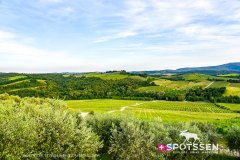 hotel_castelinainchianti_250529_-6