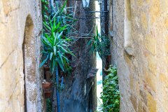 pitigliano_250601_-35