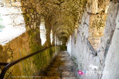 bonifacio_250724_-69