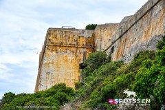 bonifacio_250724_-79