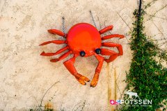 calvi_250728_-20