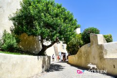 calvi_250728_-27