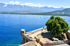 calvi_250728_-39