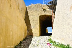 calvi_250728_-57