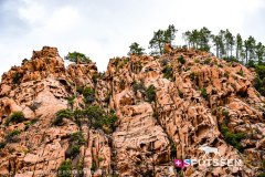 piana_vergio_250725_-10