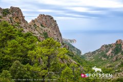 piana_vergio_250725_-2