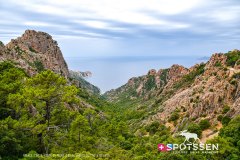 piana_vergio_250725_-3