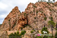 piana_vergio_250725_-6