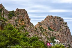 piana_vergio_250725_-7