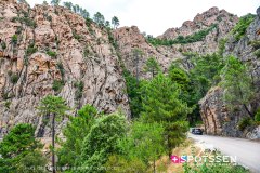 piana_vergio_250725_-8