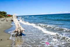 costa_verde_250729_-15