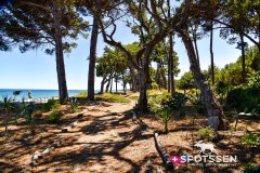 costa_verde_250729_-18