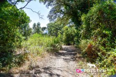 costa_verde_250729_-21