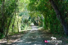 costa_verde_250729_-22