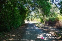 costa_verde_250729_-24