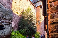 chateaukoenigsbourg_250928_-14