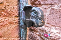 chateaukoenigsbourg_250928_-23