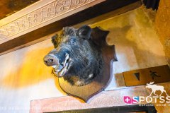 chateaukoenigsbourg_250928_-40