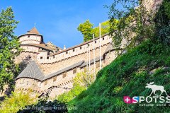 chateaukoenigsbourg_250928_-5