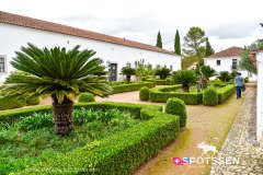 vilavicosa_251031_-20