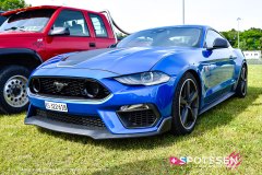 fms_delle_260517_-4