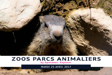 2017, marécottes, valais, suisse, zoo, animaux