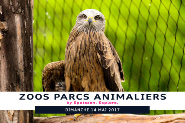 2017, zoo, garenne, vaud, suisse