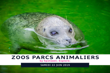 2019, zoo, berne, suisse, dählhölzli
